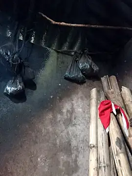  Helala  online show from 02/26/26, 08:36