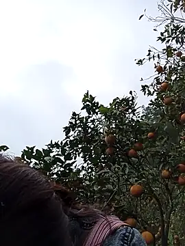 Snapshot of _Helala_ chatting on 12/16/25, 05:33 Helala online show from 12/16/25, 05:33