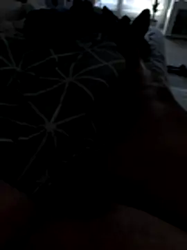 julienCr7 online show from 11/17/25, 02:54