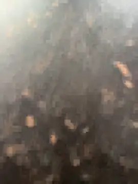 anjalibb online show from 10/27/25, 07:20