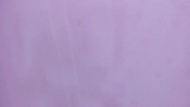 scarlett646 online show from 02/28/26, 03:17