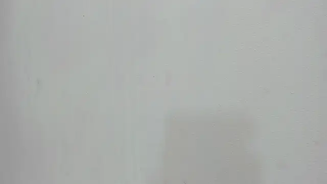 scarlett646 online show from 11/19/25, 03:06