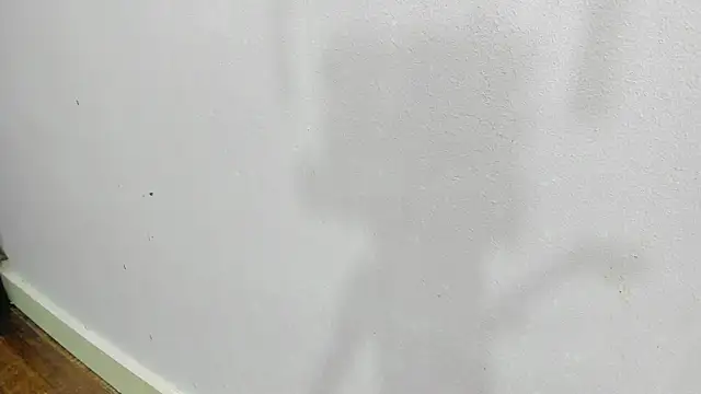 scarlett646 online show from 01/14/26, 03:10