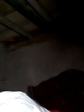 misa 00 online show from 02/24/26, 08:31