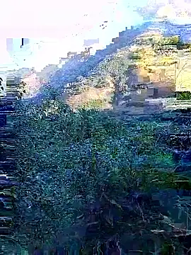 misa 00 online show from 11/29/25, 01:06