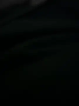 TerryM F online show from 11/25/25, 06:36