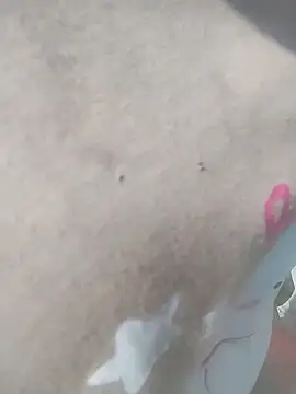 venu00 online show from 04/08/26, 02:13