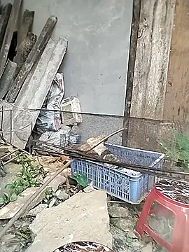 venu00 online show from 04/09/26, 06:30