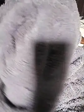 Snapshot of venu00 chatting on 02/14/26, 03:29 venu00 online show from 02/14/26, 03:29