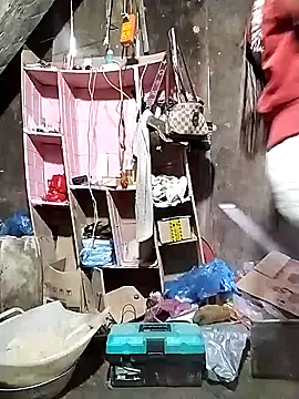 venu00 online show from 11/11/25, 03:34