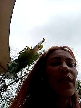 dulcelatin21 online show from 10/23/25, 09:24