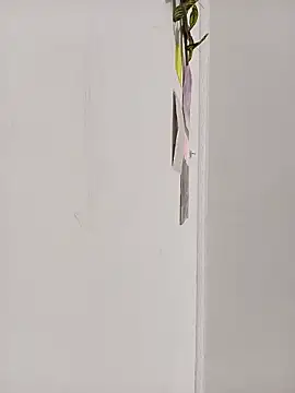 dulcelatin21 online show from 10/17/25, 02:41