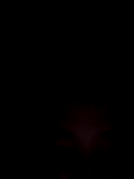 SweetSophie26 online show from 01/08/26, 04:40