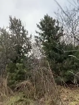 desiredude9 online show from 11/02/25, 09:58