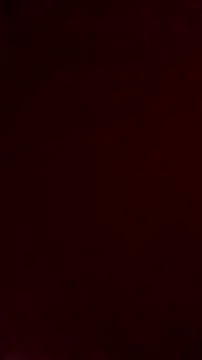 NewJoiner online show from 10/10/25, 05:47