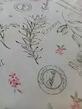 bemmagrinho36 online show from 04/18/26, 12:51