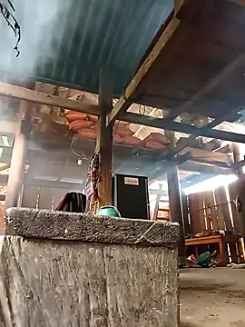 Ngocmi909 online show from 03/02/26, 05:08