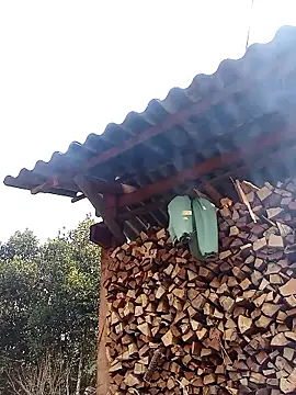 Ngocmi909 online show from 01/13/26, 01:09