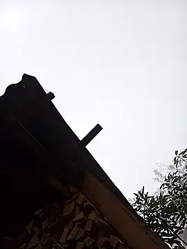 Ngocmi909 online show from 01/16/26, 12:58