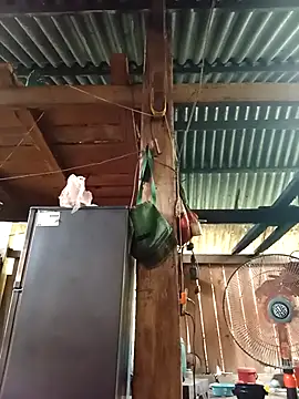 Ngocmi909 online show from 04/15/26, 04:29