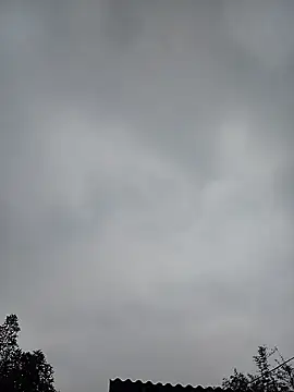 Ngocmi909 online show from 01/11/26, 12:50