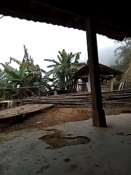 Sa2mh20 online show from 12/05/25, 01:05