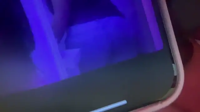 bunnytentacion online show from 11/19/25, 05:07