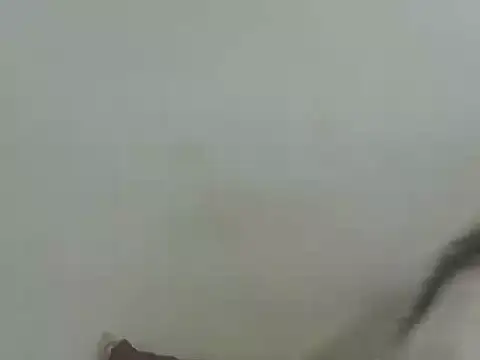 Vaani Singha online show from 03/12/26, 04:44