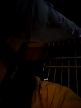 miss-su online show from 12/01/25, 05:25