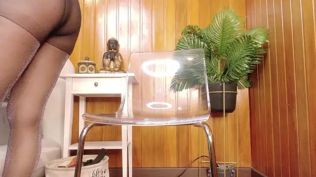 Zafiro Gem  online show from 02/03/26, 08:03