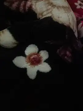 indianshycouple online show from 04/09/26, 10:10