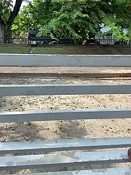 Senurak99 online show from 11/11/25, 08:20