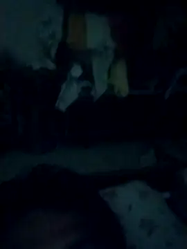 humtum2254 online show from 04/19/26, 12:33