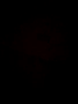 Jann Riya333 online show from 02/01/26, 01:26