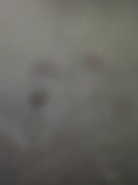 Rimvideo online show from 07/07/26, 08:23