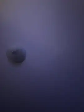 Troydaddy578 online show from 04/01/26, 04:25