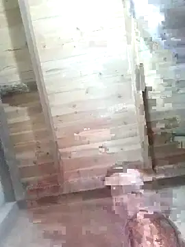 Fienjr online show from 02/12/26, 01:38