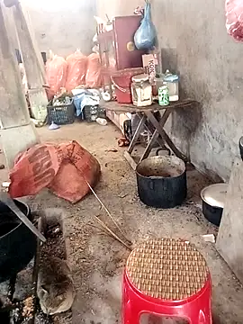 rubi bae online show from 02/24/26, 04:02