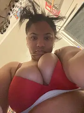 StylishEchium online show from 11/24/25, 08:53