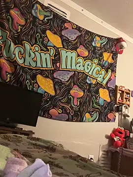 StylishEchium online show from 03/11/26, 09:25