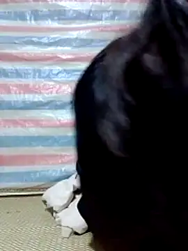 Georgia here online show from 12/16/25, 12:37