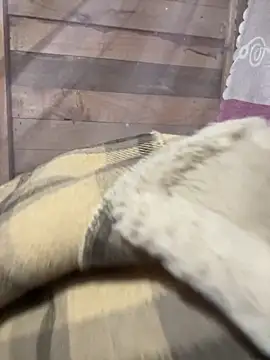 Binjt online show from 12/04/25, 11:48