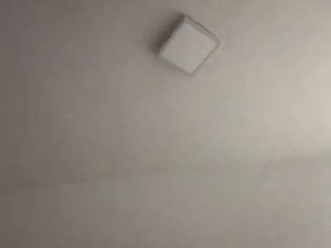 alegriadodia online show from 10/08/25, 07:47