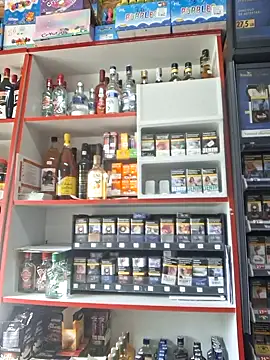 Snapshot of Fluturas2 chatting on 10/02/25, 12:08 Fluturas2 online show from 10/02/25, 12:08