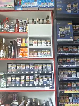 Snapshot of Fluturas2 chatting on 10/11/25, 12:17 Fluturas2 online show from 10/11/25, 12:17