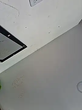 Alisson Morgann online show from 04/12/26, 01:47