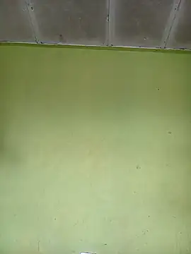 phumlanisanka online show from 11/15/25, 07:56