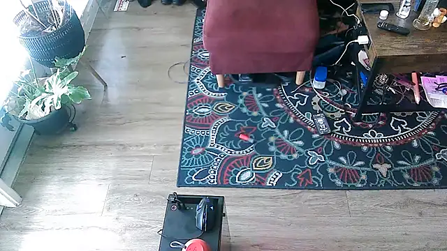 Sicksob online show from 05/18/26, 05:29