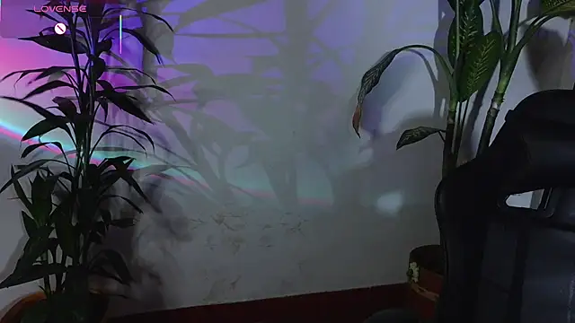 bri von dhara   online show from 04/12/26, 10:46