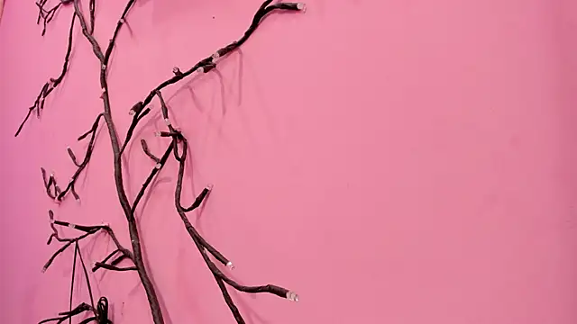 Liam evvan online show from 01/13/26, 02:59